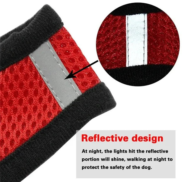 Cat Harness with lead
