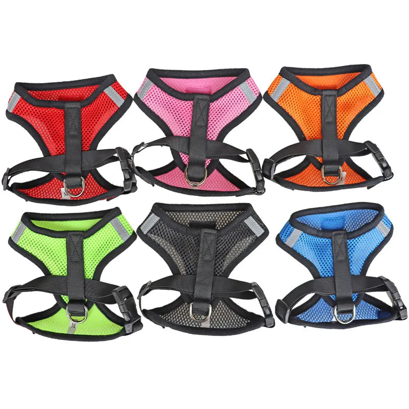 Cat Harness with lead
