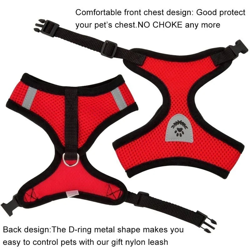 Cat Harness with lead