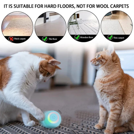 Smart cat ball